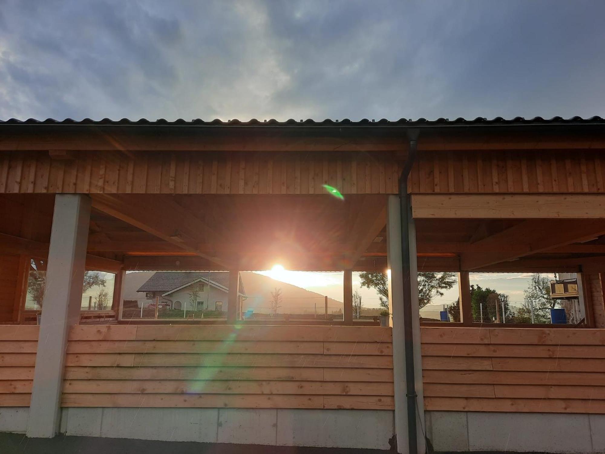 Pferdehof Thomayer ستراسوالكن المظهر الخارجي الصورة